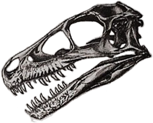 REPTILE TATTOO Santoku 6.7" - T-Rex Skull